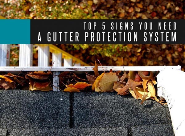 Top 5 Signs You Need a Gutter Protection System