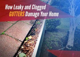 Leaky and Clogged Gutters