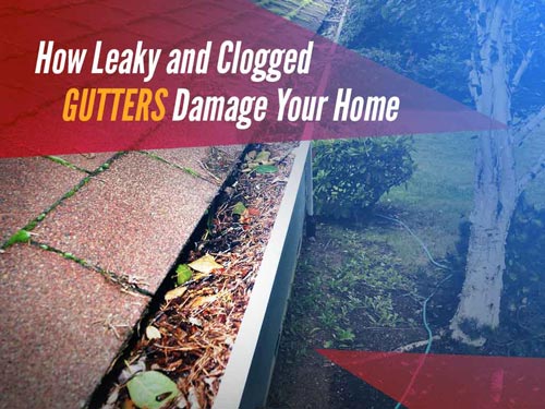 Leaky and Clogged Gutters