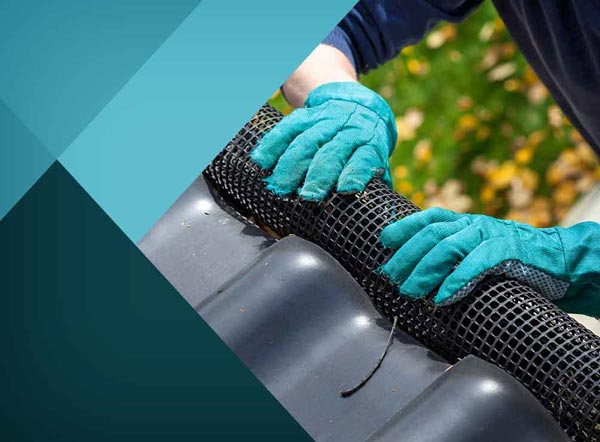 Why Gutter Brushes Aren’t the Best Gutter Protection System