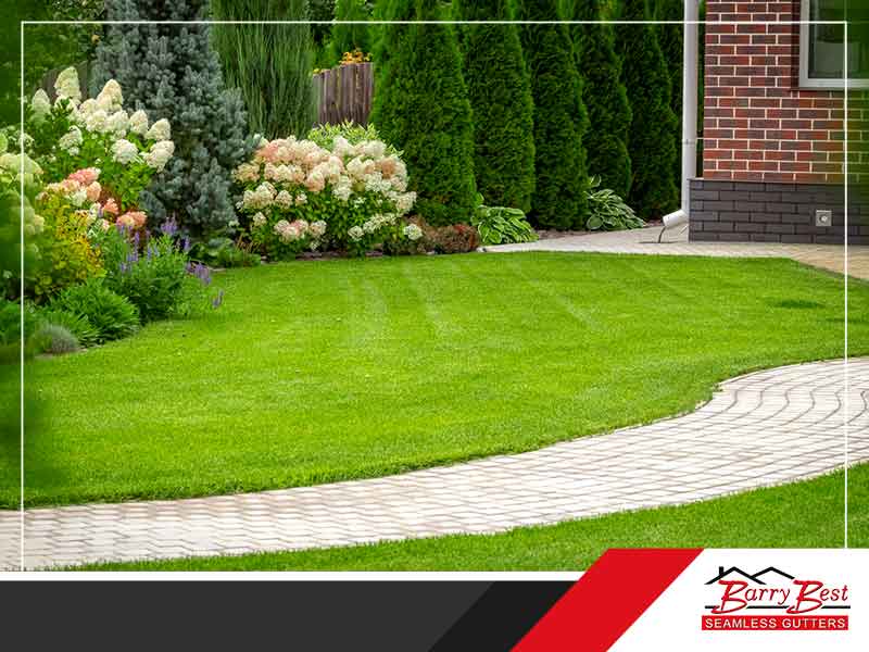 How to Prevent a Soggy Yard After a Heavy Rain