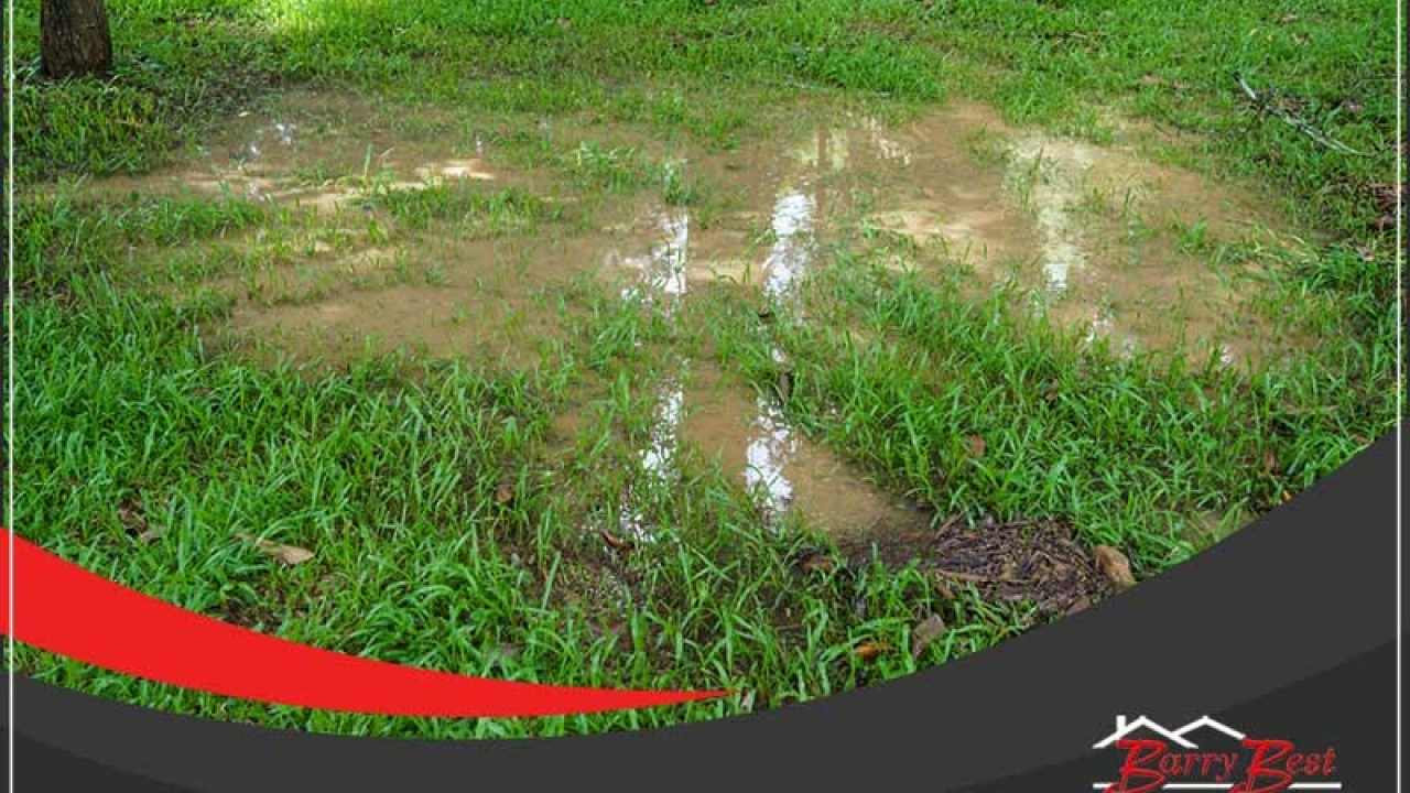 Why Is There Standing Water in My Yard